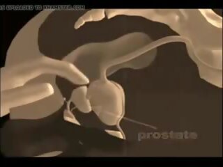 Hvordan til gi en prostata massasje, gratis xxx massasje voksen film vid